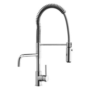 30188 Handspray and Spout Chrome